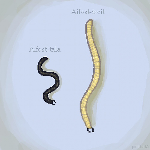 Aifost Worms